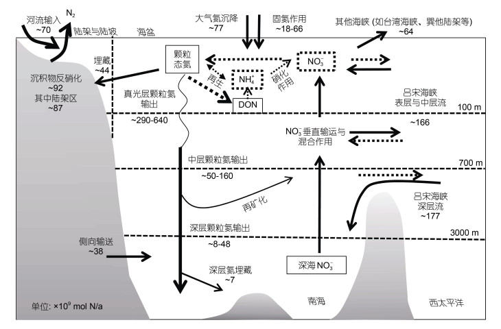 点击查看原图